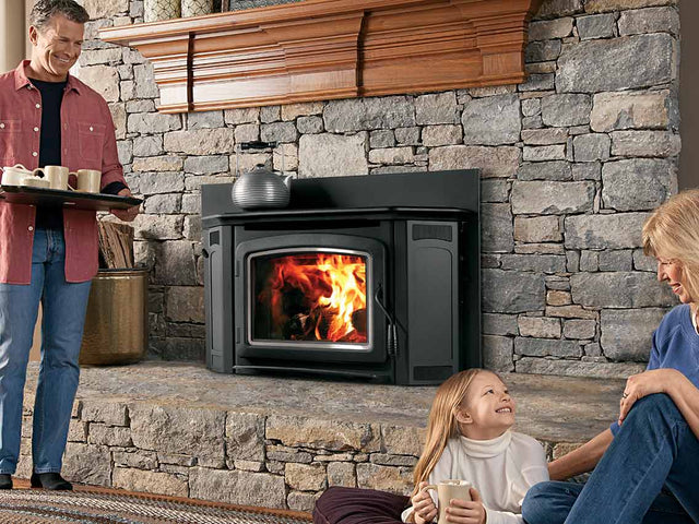 Wood or Pellet Stove Inserts