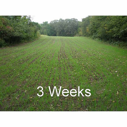 Field Tuff 5-Foot 3-Point Seed Spreader