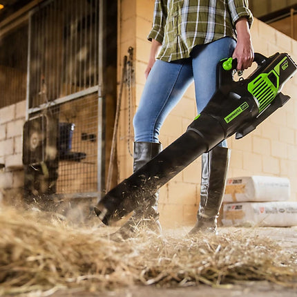 Greenworks 60V Cordless Leaf Blower