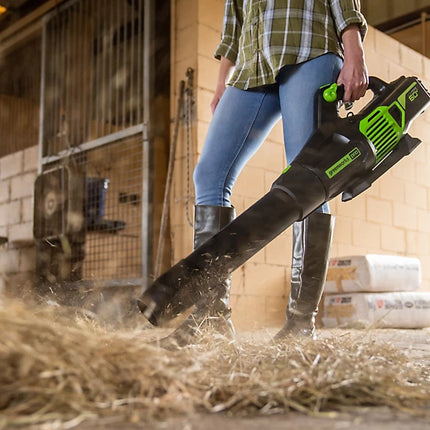 Greenworks 700 CFM 60V Brushless Leaf Blower