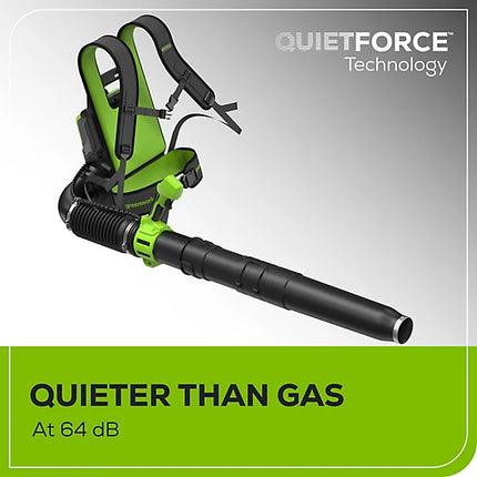 Greenworks 60V Backpack Leaf Blower